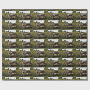 Papel De Regalo Dodge WC 57