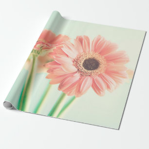 Papel De Regalo Dos flores de rosa pálido