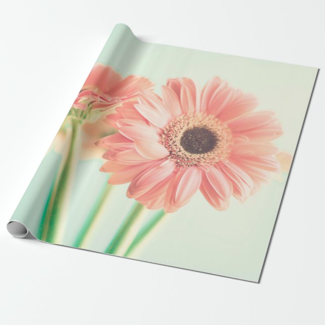 Papel De Regalo Dos flores de rosa pálido (Desenrollado)