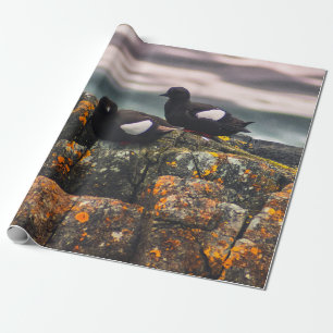 PAPEL DE REGALO DOS PÁJAROS NEGROS