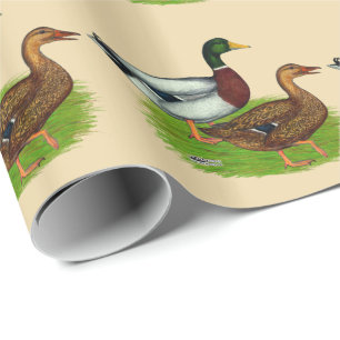 Papel De Regalo Drake mallard y pato