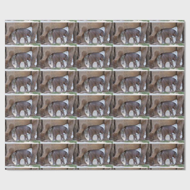 Papel De Regalo Dulce Bebé Elefante (Superficie plana)