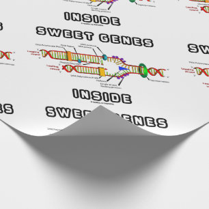 Papel De Regalo Dulces genes dentro del humor de replicación del A