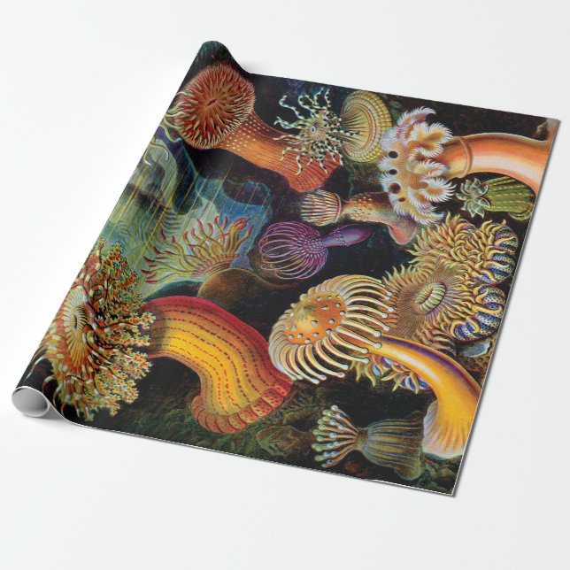Papel De Regalo El arte de la naturaleza de Ernst Haeckel (Desenrollado)