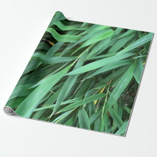 Papel De Regalo El bambú deja el fondo