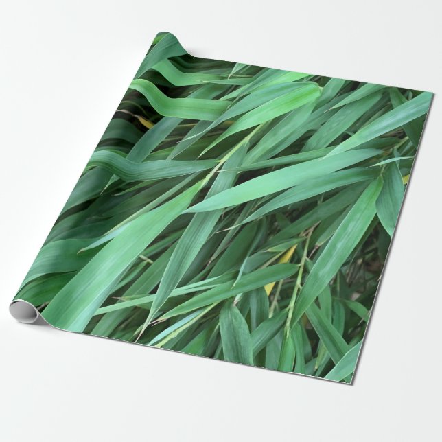 Papel De Regalo El bambú deja el fondo (Desenrollado)