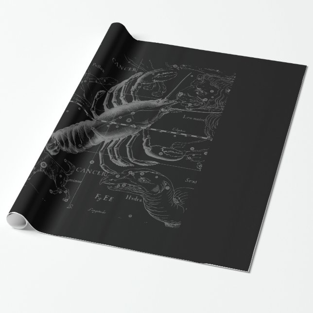 Papel De Regalo El cromo tiene gusto de la constelación Hevelius (Desenrollado)
