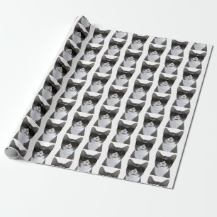 Papel De Regalo El Gato Más Guay De La Ciudad