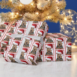 Papel De Regalo El miedo galés con el Gorra de Santa Claus