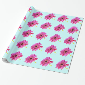 Papel De Regalo El rosado Gerbera Daisy sobre fondo azul