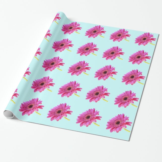 Papel De Regalo El rosado Gerbera Daisy sobre fondo azul (Desenrollado)