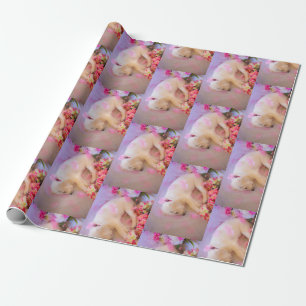Papel De Regalo El velo espeluznante 01