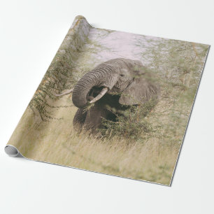 PAPEL DE REGALO ELEFANTE COMIENDO UN ÁRBOL