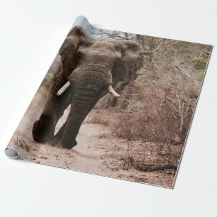 PAPEL DE REGALO ELEFANTE NEGRO CAMINANDO EN ARENA MARRÓN