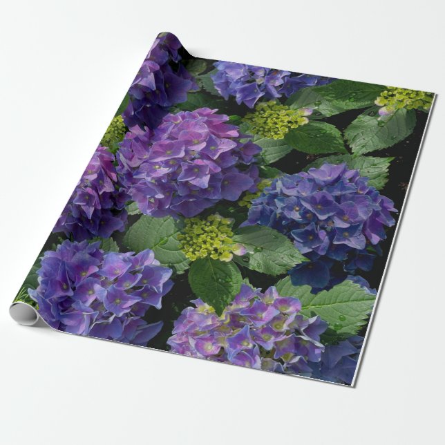 Papel De Regalo Elegante magenta púrpura azul verde hidrangea flor (Desenrollado)