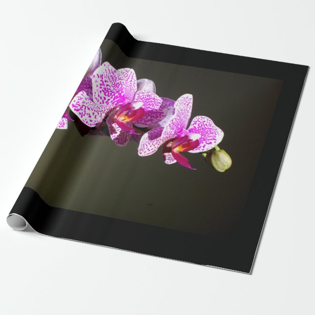 Papel De Regalo Elegante orquídeas rosas, foto tropical floral (Desenrollado)