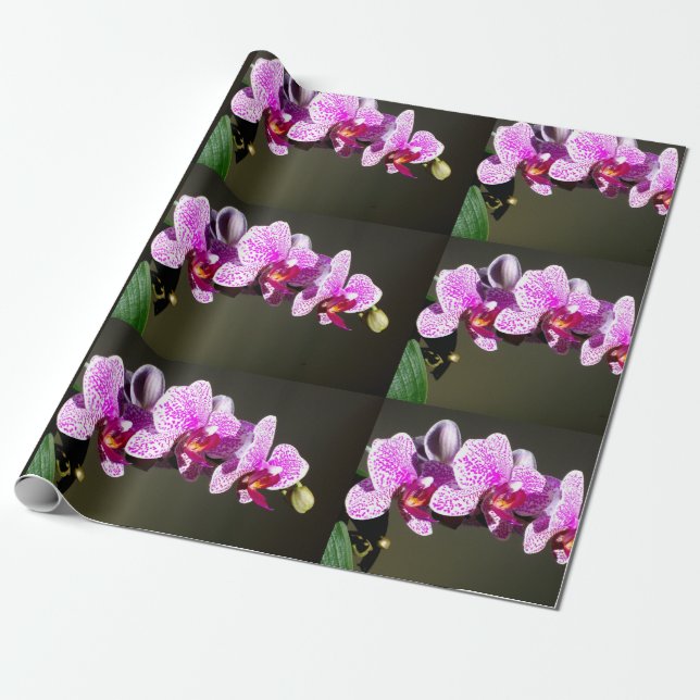 Papel De Regalo Elegante orquídeas rosas, foto tropical floral (Desenrollado)