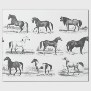 Papel De Regalo Elegante ramas de caballos de tela blanca y negras