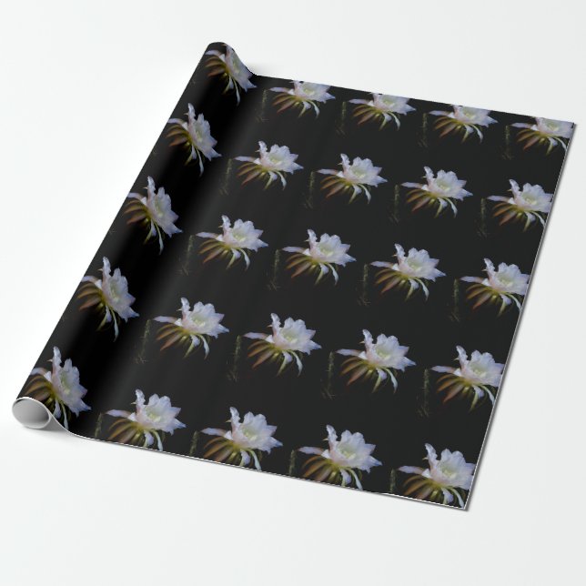 Papel De Regalo Elegante Reina de la flor de cactus nocturna (Desenrollado)