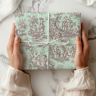 Papel De Regalo Elegante Toile Francés de Menta Negra Floral Campe