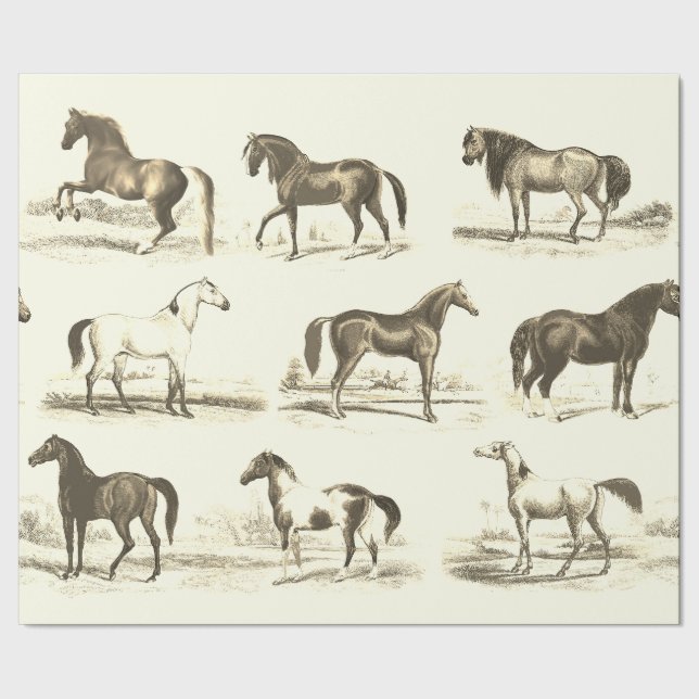 Papel De Regalo Elegante variedad de caballos de tela beige de épo (Costura)