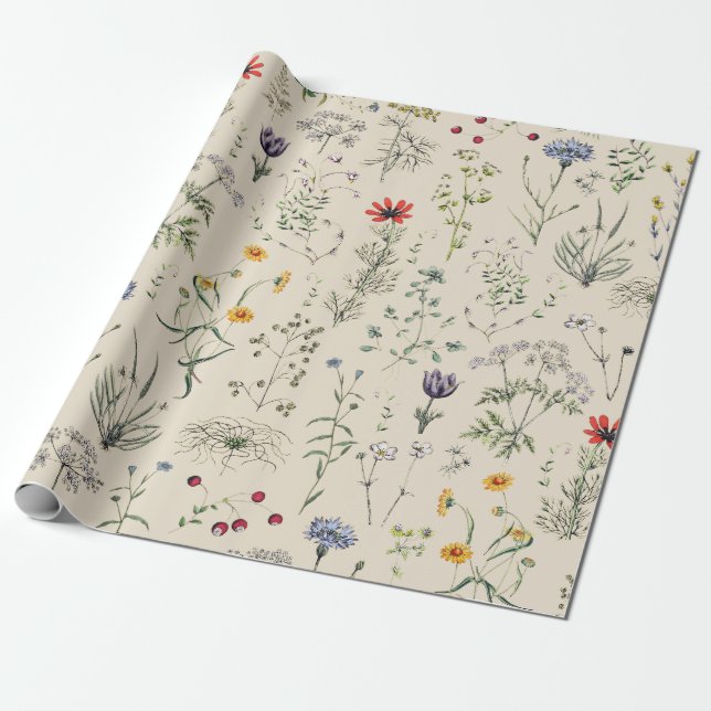 Papel De Regalo Elegante Wildflowers Botánico Beige (Desenrollado)