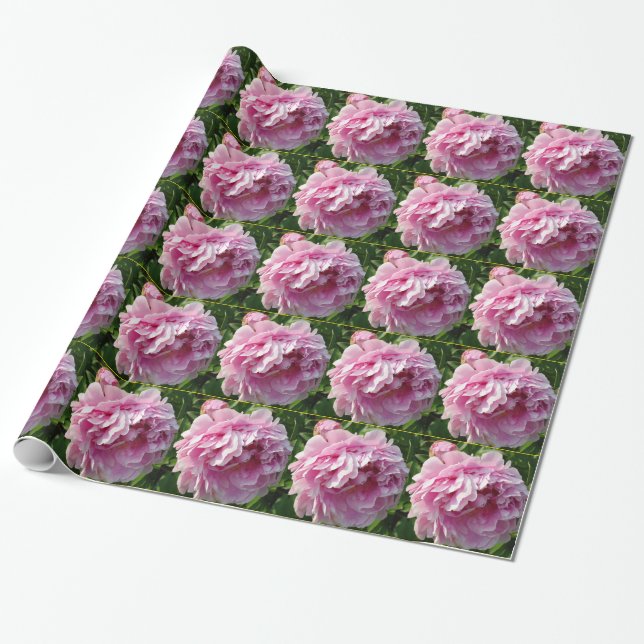 Papel De Regalo Elegantes flores románticas rosadas peonías rosada (Desenrollado)