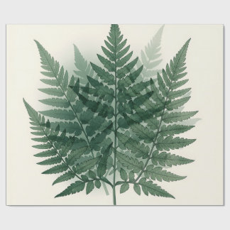 Papel De Regalo Elegantes frondas de helecho verde botánico
