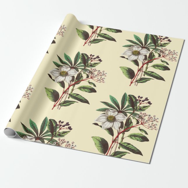 Papel De Regalo Elegantes Rosas de Navidad de época beige (Desenrollado)