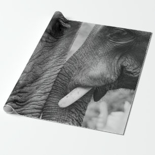PAPEL DE REGALO ELEPHANT COUPLE