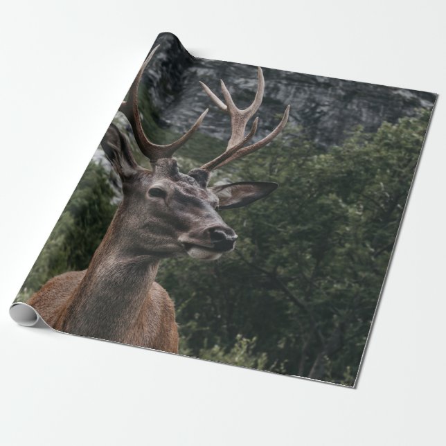 PAPEL DE REGALO ELK STACK DEER (Desenrollado)