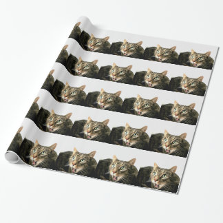 Papel De Regalo Elvis