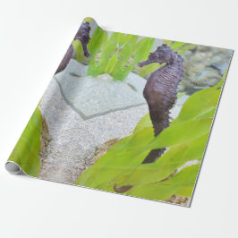 Papel De Regalo Embalaje de regalo para caballitos de mar