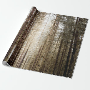 PAPEL DE REGALO EN EL BOSQUE