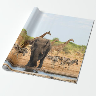 Papel De Regalo En el waterhole