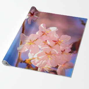 Papel De Regalo Encantador Montón De Flores De Sakura En Primavera