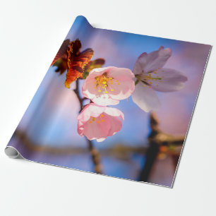 Papel De Regalo Encantadoras flores de Sakura