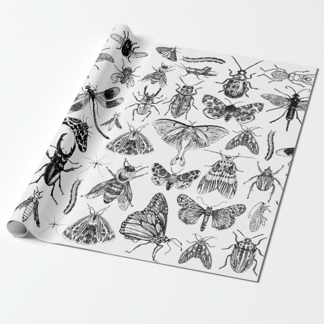 Papel De Regalo Entomology Paper Bugs Insectos Ajuste de regalo (Desenrollado)