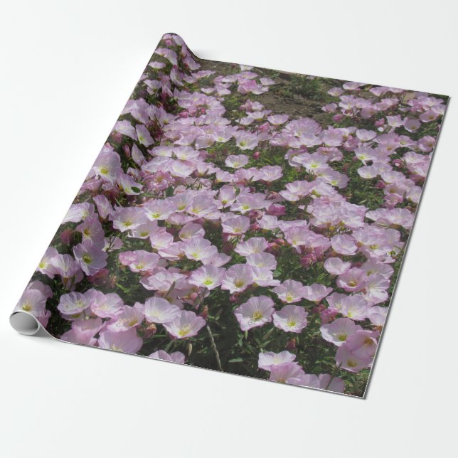 Papel De Regalo Envoltura de regalo - Campo de rosa rosa (Desenrollado)