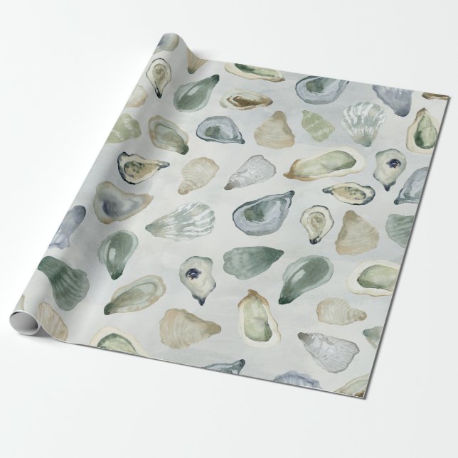 Papel De Regalo Envoltura de regalo de las cáscaras de ostión de c (Desenrollado)