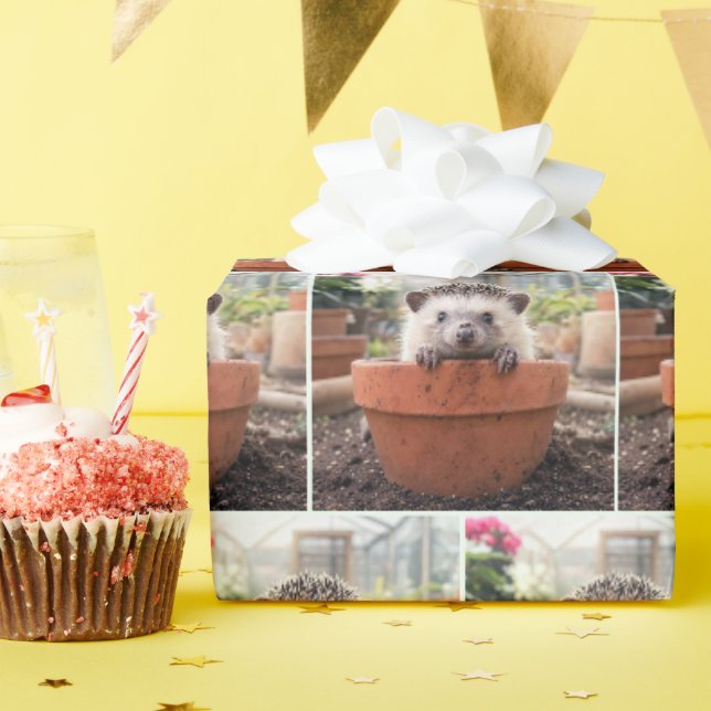 Papel De Regalo Erizo en una maceta de barro (Fiesta de cumpleaños )