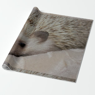 Papel De Regalo Erizo sonriente