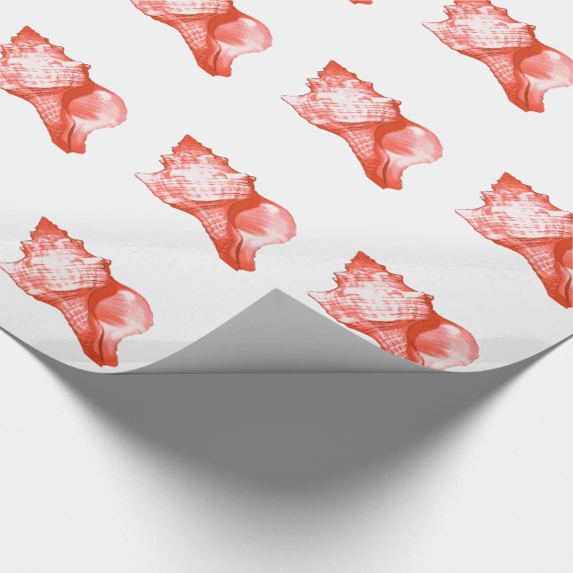 Papel De Regalo Esbozo de concha - coral, cáscara rosa y blanco (Esquina)