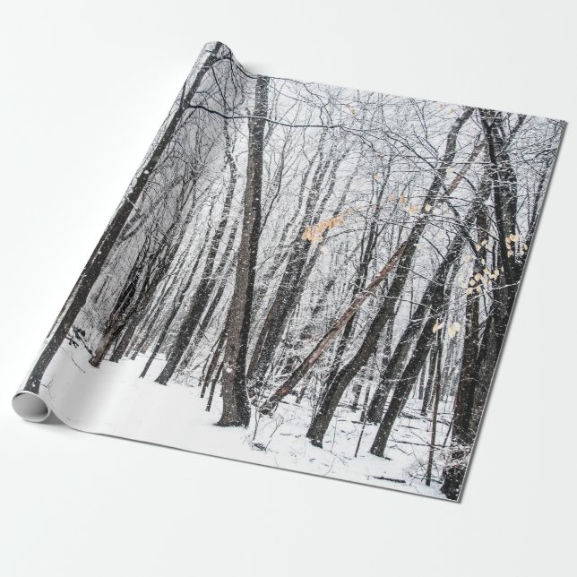 Papel De Regalo Escena de nieve en Woodland Michigan (Desenrollado)
