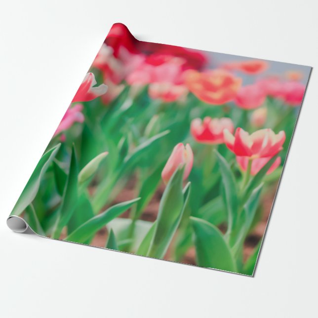 Papel De Regalo Esfera selecta, naturaleza asombrosa de la hermosa (Desenrollado)