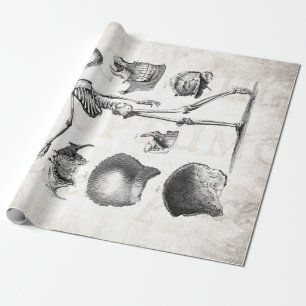 Papel De Regalo Esqueletos antiguos esqueléticos de la anatomía 