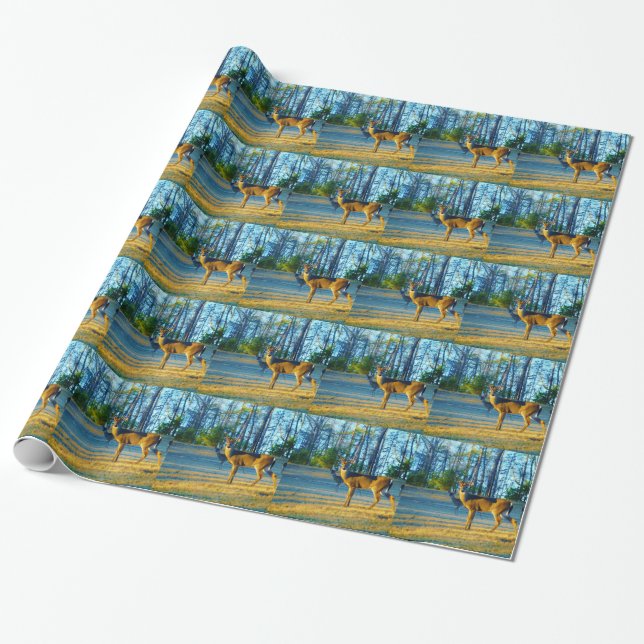 Papel De Regalo Estadio/Deer Buck, cielo azul brillante (Desenrollado)