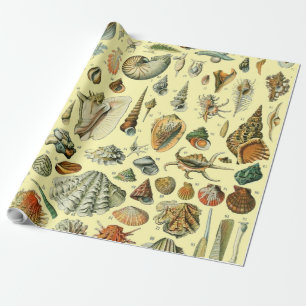 Papel De Regalo Estampa vintage de conchas de Adolphe Millot Coste
