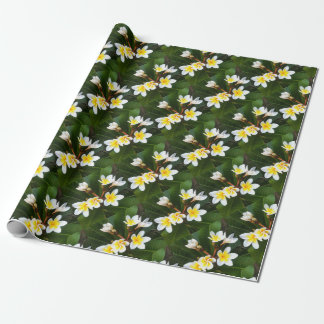 Papel De Regalo Estilo artístico de clúster de flor frangipano
