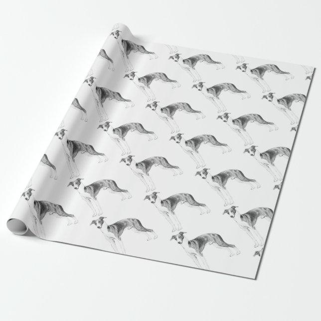 Papel De Regalo Estilo del galgo italiano (Desenrollado)